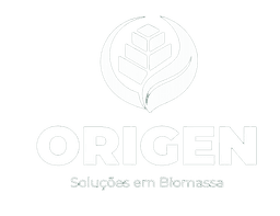 ORIGEN — Soluções em Biomassa